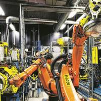 Moss Hydro Robotized Production Line