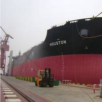 MV Houston: Photo courtesy of Diana Shipping