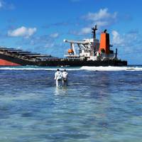 MV Wakashio ran aground on a coral reef off Mauritius, spilling 1000 tonnes of a new type of marine fuel oil, Image courtesy Curtin University