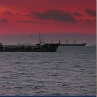 Image: International Bunker Industry Association