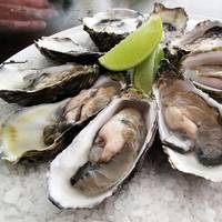Pacific Oysters: Image Wiki CCL