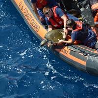 Photo: Coast Guard Compass