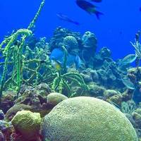 Photo: National Oceanic and Atmospheric Administration