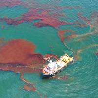 Photo: Office of Response and Restoration, NOAA's Ocean Service, US Govt.