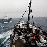 (Photo: Sea Shepherd)