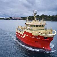 Photo: VARD/Stian Brunes