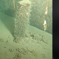 Photos of the object near the Nord Stream 2 pipeline – on the seabed and after the retrieval. Credit: Danish Ministry of Defence
