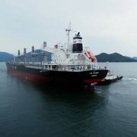 Pic: Grindrod Shipping Holdings