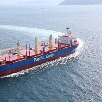 Pic: Pacific Basin Shipping Limited