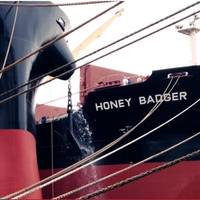 Pic: Star Bulk Carriers Corp.