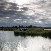 Picture showing similar polder Courtesy AdobeStock