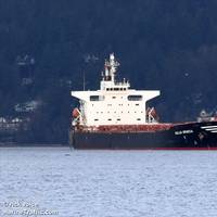 Pictured is the 735-foot bulk carrier Gallia Graeca while anchored near Lighthouse Park in Vancouver, Canada, Jan. 13, 2016. (Photo: U.S. Coast Guard)