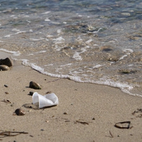 Polystyrene pollution at the tide’s edge. Photo by Jayne Doucette, Woods Hole Oceanographic Institution