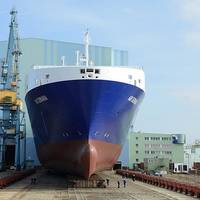 Roll-out at Volkswerft Stralsund: New building vessel 500 is a RoRo special ship for the Danish shipping company DFDS and will later be christened “Ark Germania.” (Photo: P+S Werften)