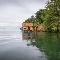 © Sam Lawrence / Wirestock / Adobe Stock