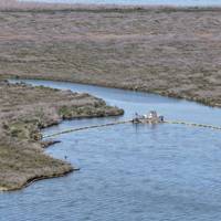 Source: USCG