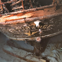 Still image from the Endurance with Voyis Observer Imaging System applying True Colour correction. © Voyis Imaging & FMHT