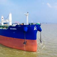 Susesea's bulk carrier MV Bordo Mavi (Credit: Susesea)