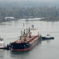 The 608-foot Genco Auvergne ran aground in the Columbia River near Skamokawa Vista Park, Wash., Oct. 1, 2020. The vessel was refloated at high tide with the aid of three tugs: Carolyn Dorothy, Samantha S. and Willamette. (U.S. Coast Guard photo courtesy of Sector Columbia River)