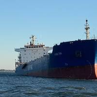 The coal carrier Hong Dai sits aground 400 meters northwest of Sewell's Point near Norfolk, Va., October 1, 2020. (Photo: U.S. Coast Guard)