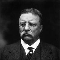 Theodore Roosevelt (photo: United States Library of Congress)