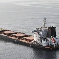 This photo shared widely across social media shows the bulk carrier Tutor after it was struck by the Iran-aligned Houthis in the Red Sea (Photo: social media)