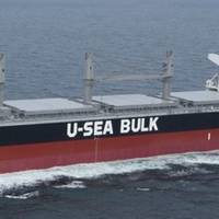 Ultrabulk Panamax Bulk Ship