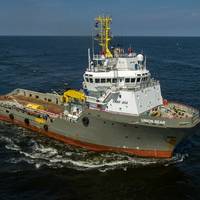 Union Bear (Photo: Boskalis)