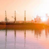 © Viktoriya / Adobe Stock