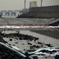Workers clean up oil on a river of the Jiaozhou Bay after an oil pipeline exploded at the China Petroleum & Chemical Corp. plant in the city of Qingdao, east China's Shandong province, on November 23, 2013. (AFP/Getty Images)