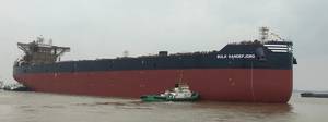 Pic: 2020 Bulkers