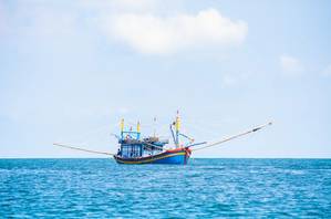 © hoangtran / Adobe Stock