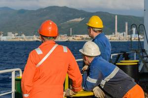Credit: AdobeStock / Seafarer81