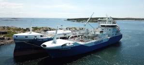 Coralius reaches 100 bunkerings milestone - LNG demand on the rise. Photo: Gasum Oy