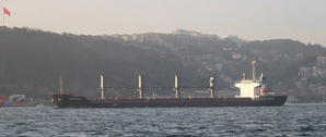 Five Iskenderun bulk carriers will be the first hulls applied with Nippon Paint Marine’s new FASTAR antifouling. Pictured is the 32,178dwt Akdeniz-M (Photo: Nippon Paint Marine)
