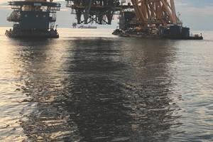All images courtesy Xenos Marine
