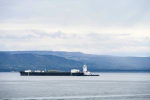 Copyright knelson20/AdobeStock