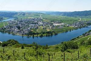 Germany's mosel river (c) Petrus / Adobestock