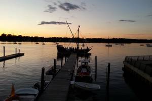 Image courtesy Rik van Hemmen