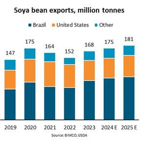 Soya Bean Exports to Grow 8%, says USDA