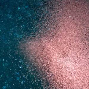 Ocean Activist Vows at COP30 to Take on Deep-Sea Mining, Krill Industry