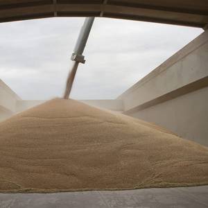 Ida Damages US' Busiest Grain Terminal, Disrupts Exports