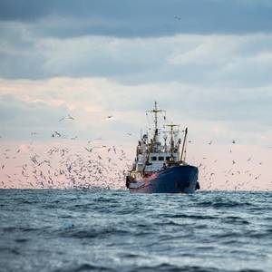 CHIRP Introduces Fishing Sector Safety Newsletter