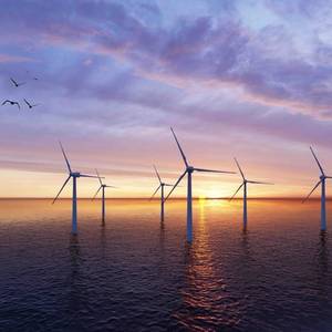 Trump's Halt of Rhode Island Wind Project Stuns Local Leaders