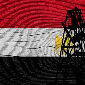 Egypt Halts Fertilizer Production In Light of Israeli Gas Disruptions