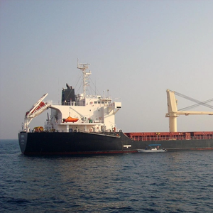 Ukraine Asks Lebanon to Bar Syrian Ship Carrying 'Stolen' Corn from Docking