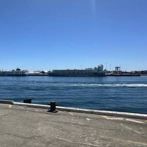 Australian Livestock: Second Vessel Heads to Red Sea