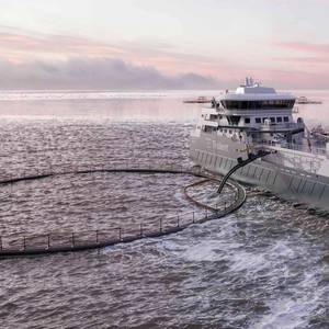 Brunvoll Chosen for Trident Aqua Services’ Live Fish Carrier Fleet