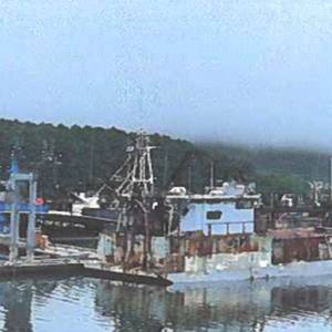 Unsecured Watertight Doors Contribute to Sinking of Fish Tender