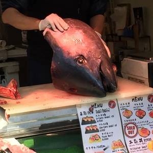 As China, Japan Tensions Rise, Japanese Fish are Caught in the Middle